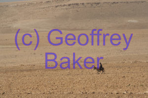 Morocco 03 Geoffrey Baker